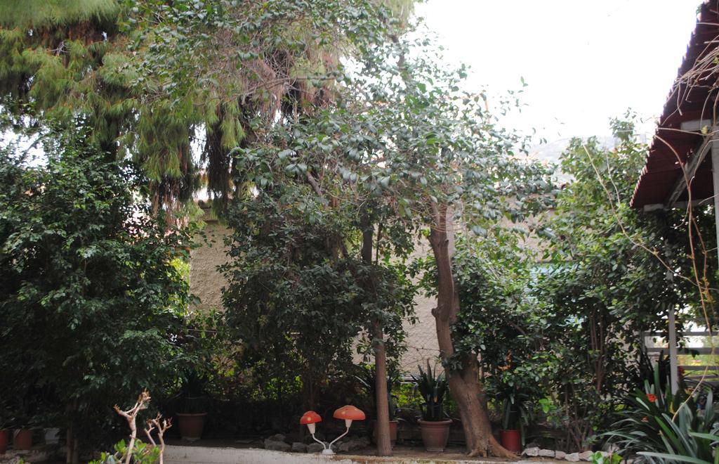 Pension Alkistis Tolón Extérieur photo